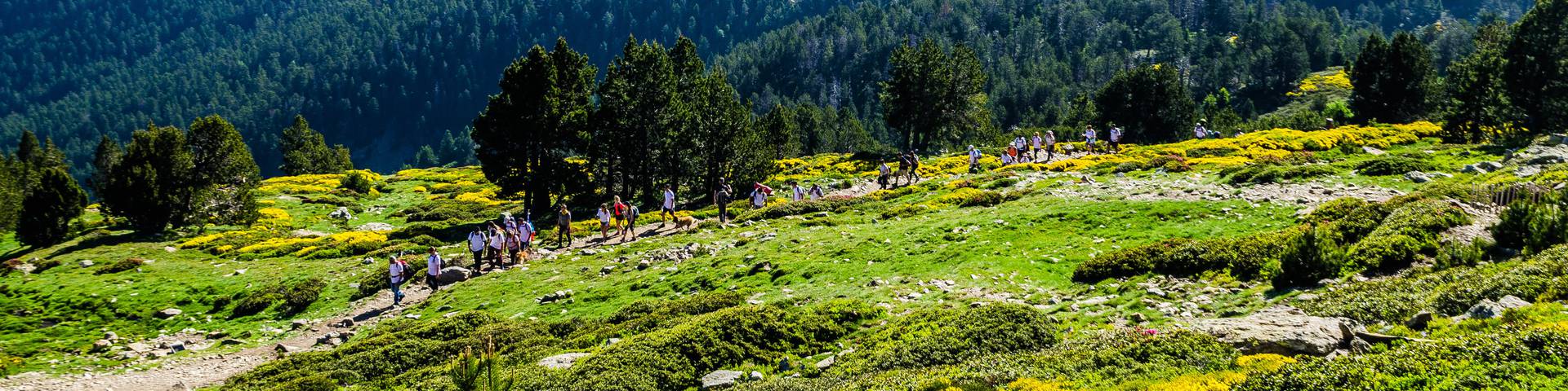 Pic du Canigou accéder au Mont Canigou